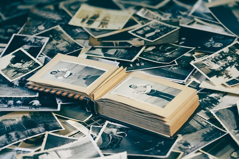Enchanted Wedding Albums